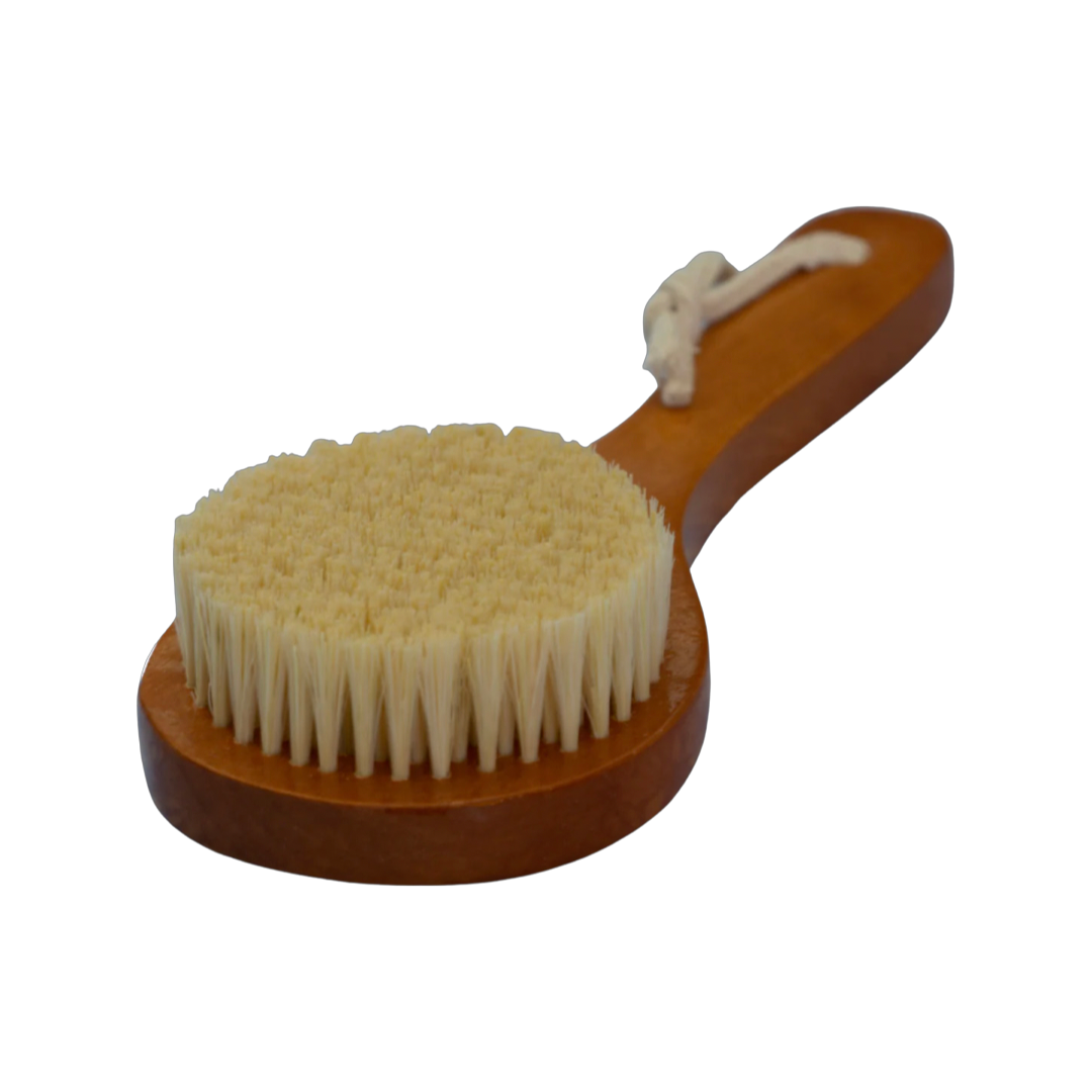Plant Bristle Brush